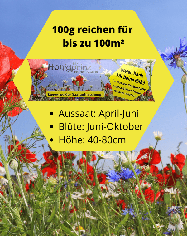 Bienenweide – Saatgutmischung 100g - Honigprinz