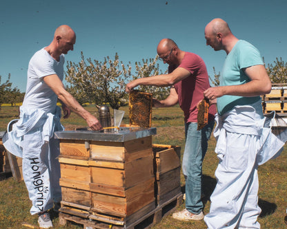 Nisthülsen für Wildbienen 200 Stk. / 6mm - Honigprinz